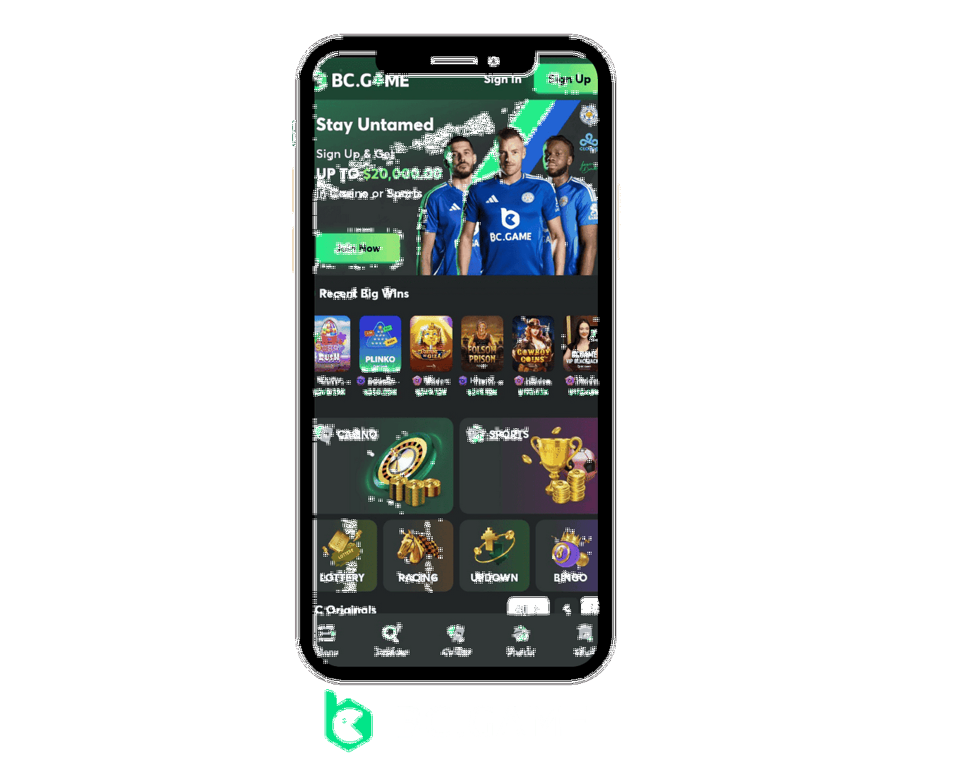 Just how to set up BC.Game application
