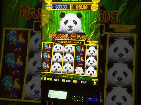 Discover the Excitement of Table Games at Spinpanda Casino Discover the Excitement of Table Games at Spinpanda Casino
